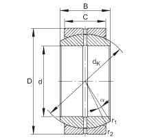   INA / Schaeffler GE30-DO