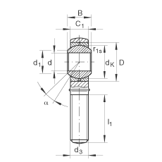   INA / Schaeffler GAKL20-PB