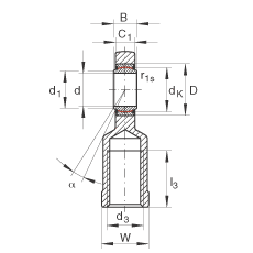   INA / Schaeffler GIL30-UK