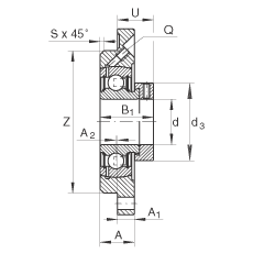   INA / Schaeffler PME55