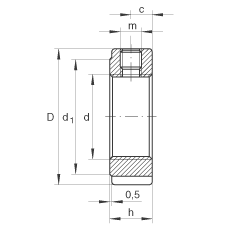   INA / Schaeffler ZM06