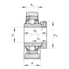   INA / Schaeffler RSAO60