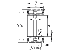   INA / Schaeffler SL045011-PP