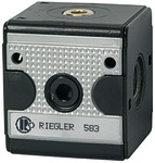   Riegler 100607