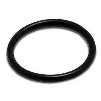 Seal ring  Camozzi 160-39-11/19