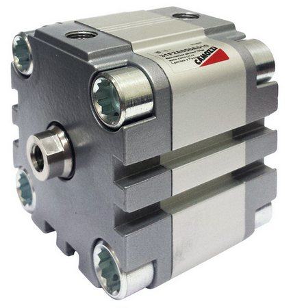 Pneumatic cylinder  Camozzi 31F2A100A010