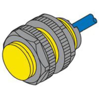 Inductive Proximity Sensor NI10-P18-Y1/S100 Turck 10317