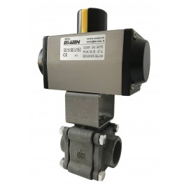 Ball valve 5516 EVIAN 