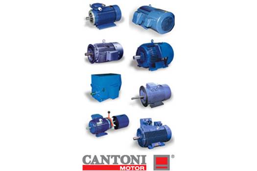  3SIE280M-2 Cantoni Motor 