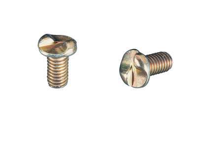 Tamperproof screw SCREW Schmersal 