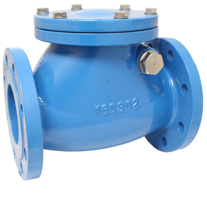 Swing-check valve  END-Armaturen SCV-GGG-EPDM-125