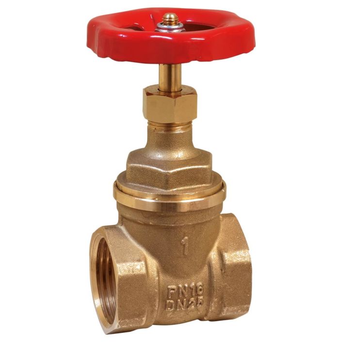 Gate valve  END-Armaturen IC101024