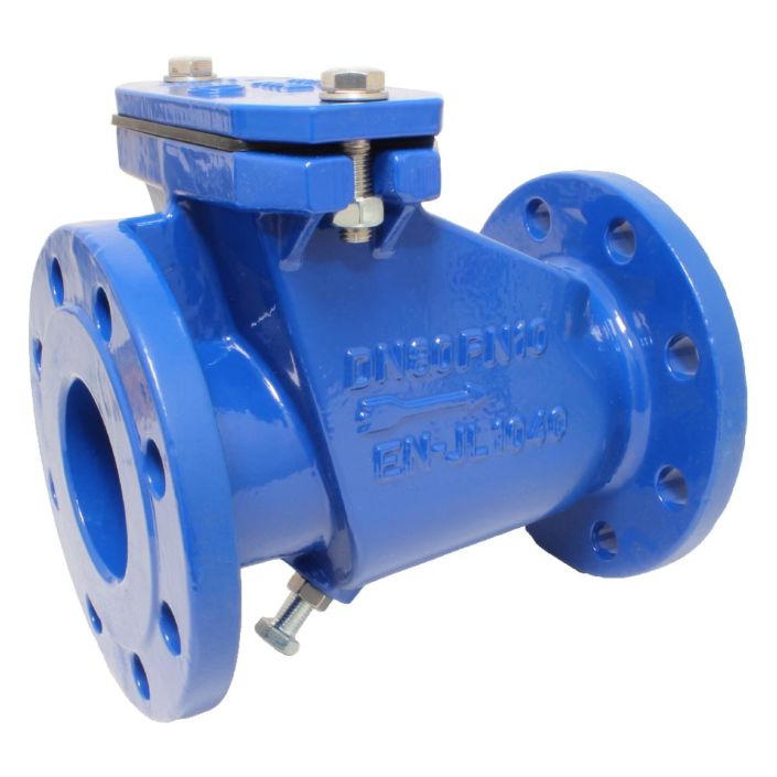 Sewage (waste water) Check Valve  END-Armaturen CW540010