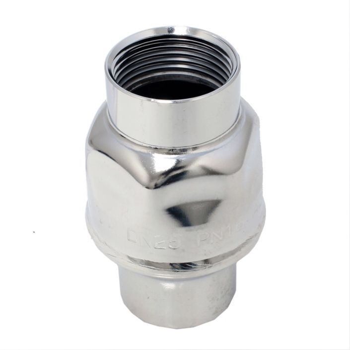 Non return valve  END-Armaturen MR340031/AISI316