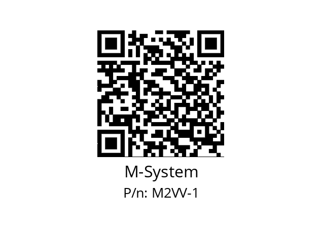   M-System M2VV-1