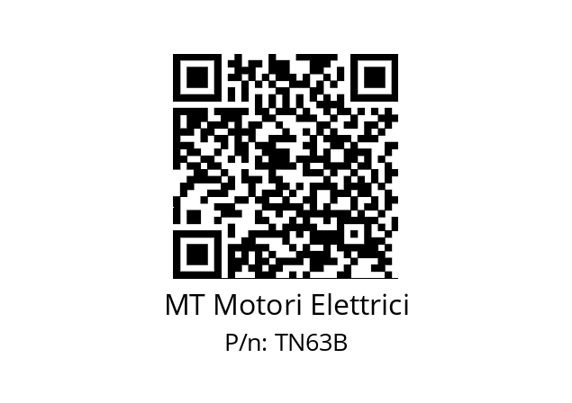   MT Motori Elettrici TN63B