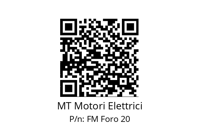   MT Motori Elettrici FM Foro 20