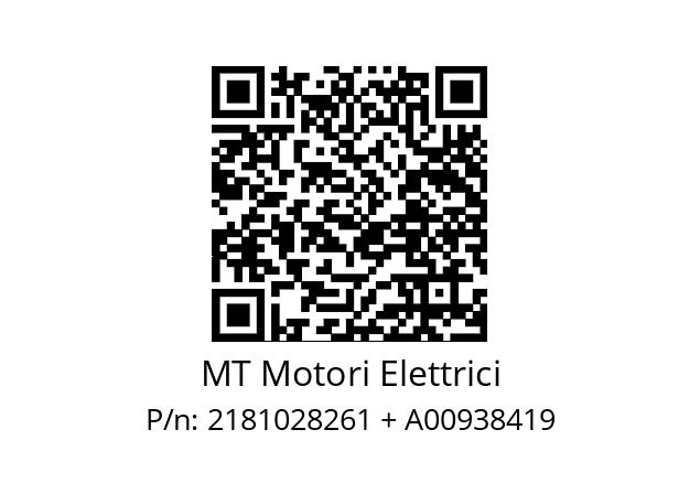   MT Motori Elettrici 2181028261 + A00938419