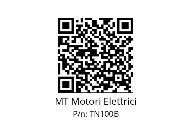   MT Motori Elettrici TN100B