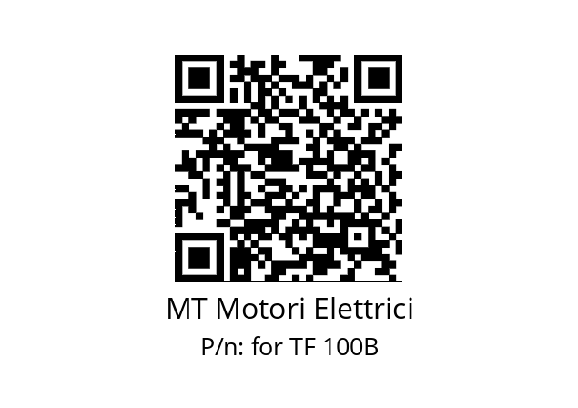   MT Motori Elettrici for TF 100B