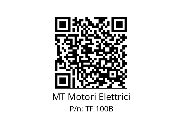   MT Motori Elettrici TF 100B