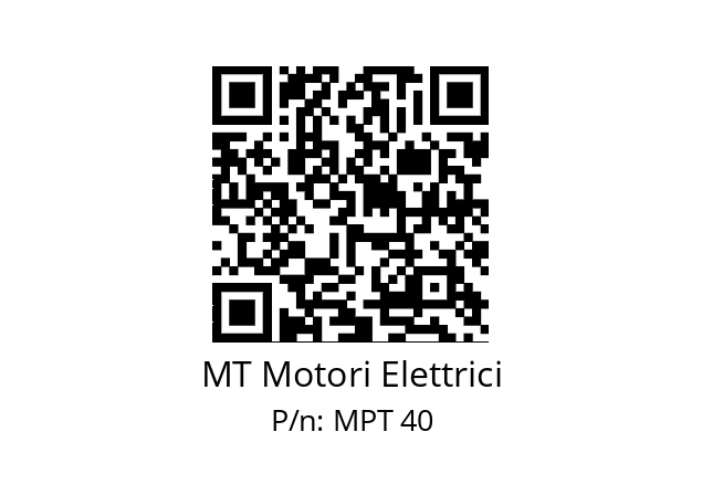   MT Motori Elettrici MPT 40