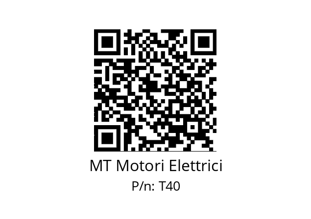   MT Motori Elettrici T40