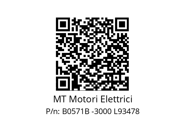   MT Motori Elettrici B0571B -3000 L93478