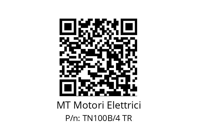   MT Motori Elettrici TN100B/4 TR