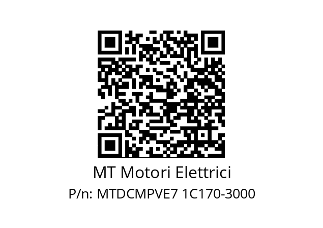   MT Motori Elettrici MTDCMPVE7 1C170-3000