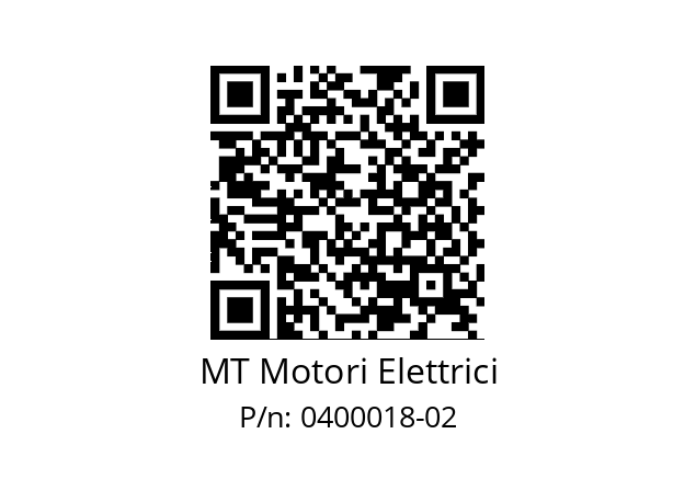   MT Motori Elettrici 0400018-02