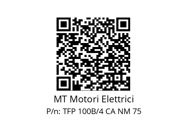   MT Motori Elettrici TFP 100B/4 CA NM 75