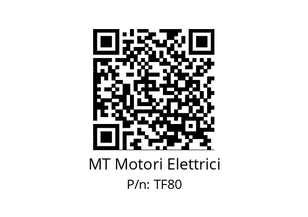   MT Motori Elettrici TF80