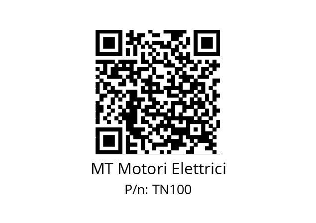   MT Motori Elettrici TN100