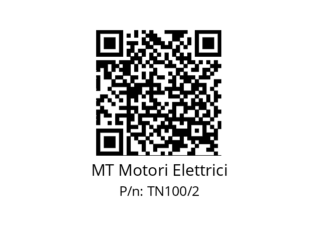   MT Motori Elettrici TN100/2