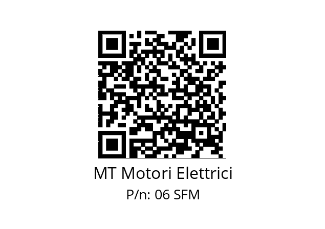   MT Motori Elettrici 06 SFM