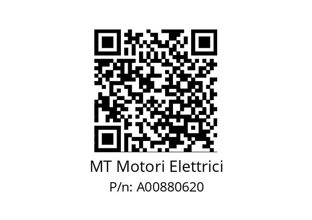   MT Motori Elettrici A00880620