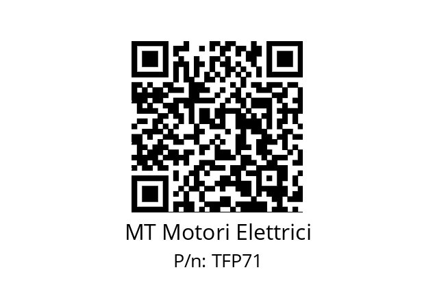   MT Motori Elettrici TFP71