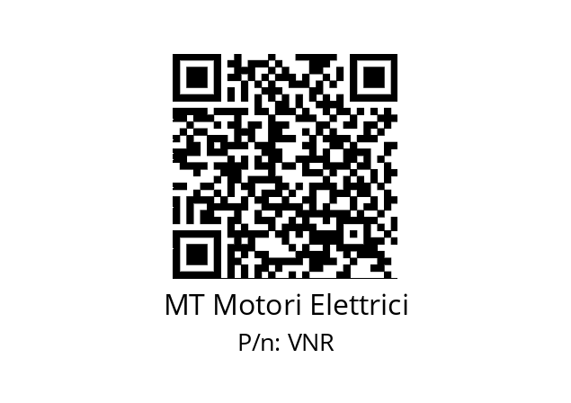   MT Motori Elettrici VNR