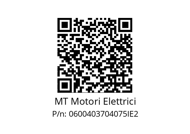   MT Motori Elettrici 0600403704075IE2