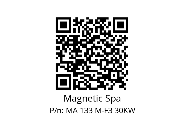   Magnetic Spa MA 133 M-F3 30KW