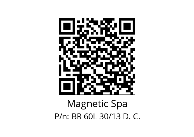   Magnetic Spa BR 60L 30/13 D. C.