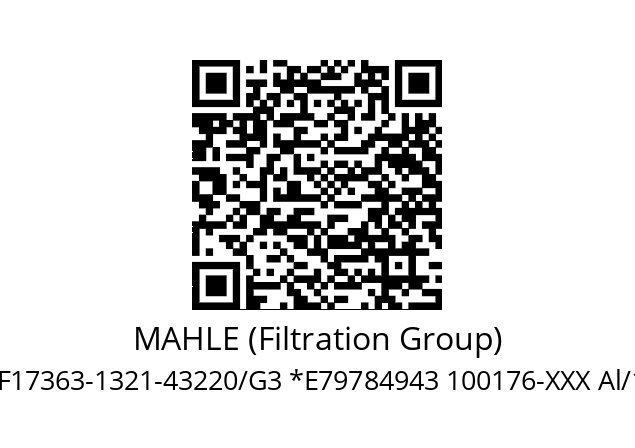   MAHLE (Filtration Group) AF17363-1321-43220/G3 *E79784943 100176-XXX Al/1.4571