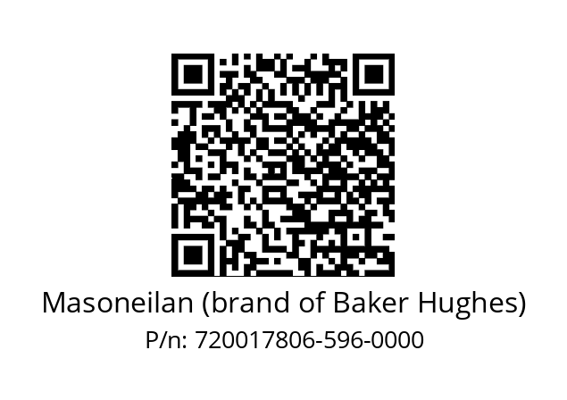   Masoneilan (brand of Baker Hughes) 720017806-596-0000