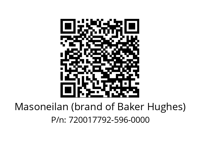   Masoneilan (brand of Baker Hughes) 720017792-596-0000