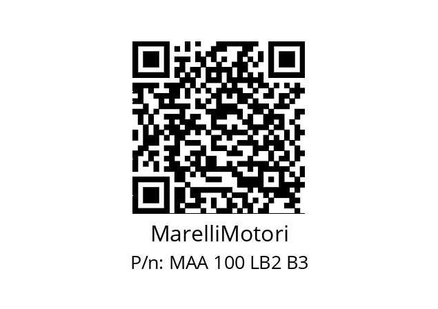   MarelliMotori MAA 100 LB2 B3