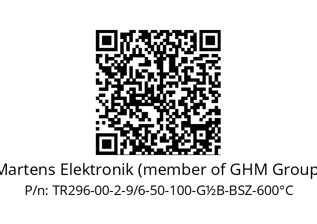   Martens Elektronik (member of GHM Group) TR296-00-2-9/6-50-100-G½B-BSZ-600°C