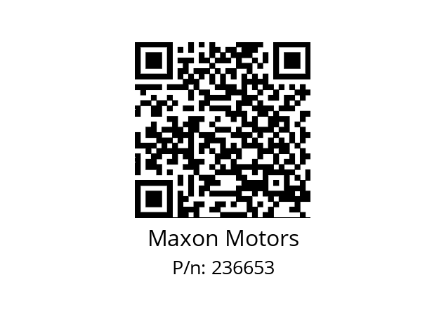   Maxon Motors 236653