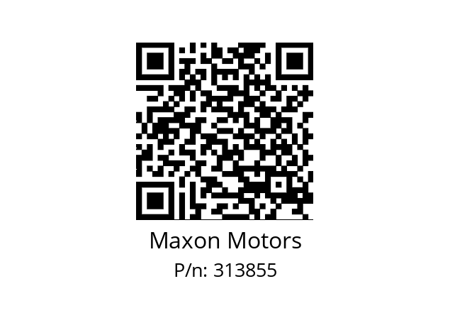   Maxon Motors 313855