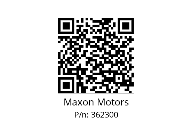   Maxon Motors 362300